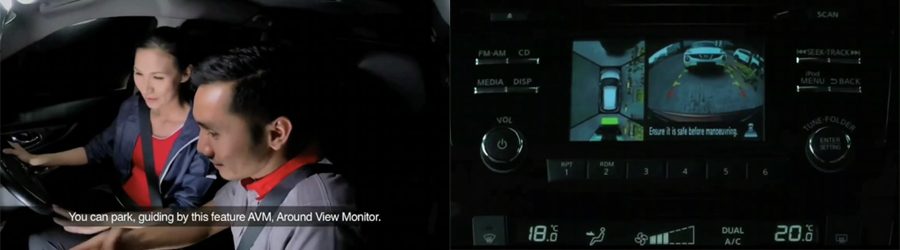 PWP-capture-Blind-Parking-3